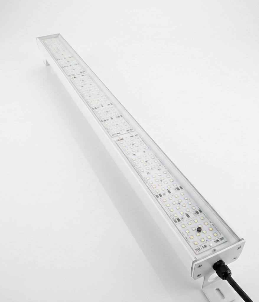 Luminos Linear